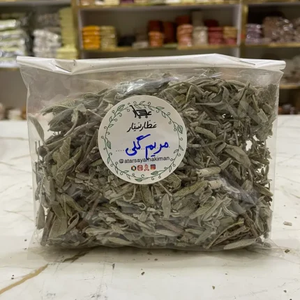 مریم گلی