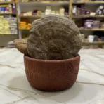 قارچ گانودرما - Image 2